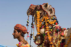 Side view of man standing next to camel