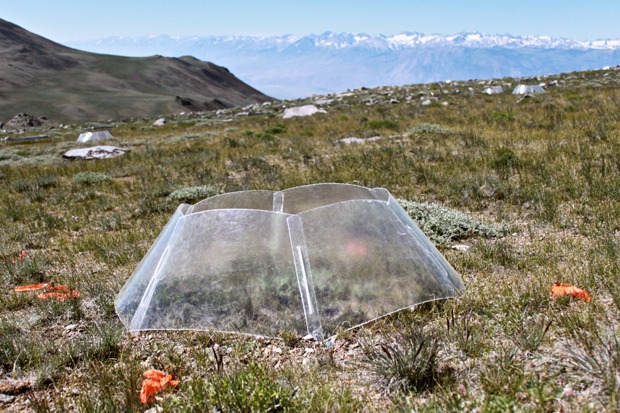 Open top warming chamber in the White Mountains of California.