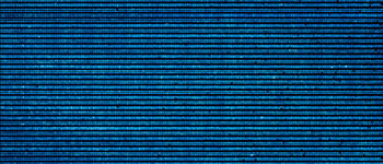 The larger chips contain about 13,000 biopixels