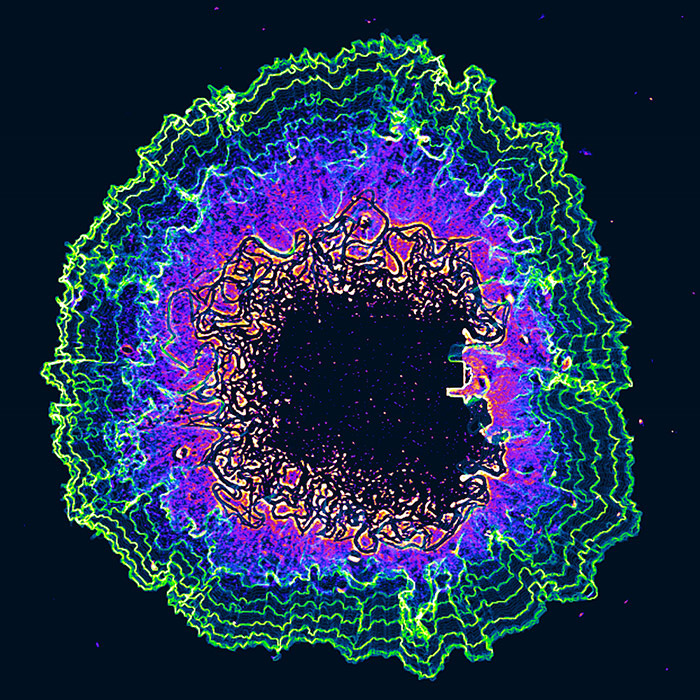 Neon lights circularly surrounding a black biofilm