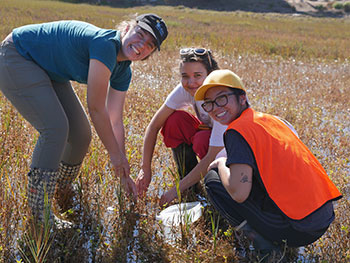 Gardening the UC Reserve System