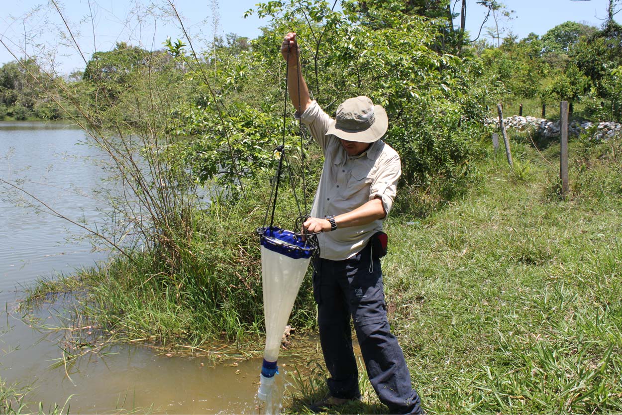 Nelson standing on the edge of the marsh holding up a sampling net